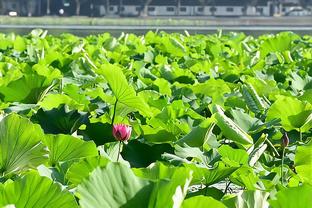 霍伊伦本场数据：0射门，8次对抗仅2次成功，评分6.3分全场最低